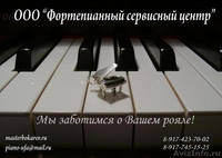 Настройка и ремонт музыкальных инструментов - Изображение #3, Объявление #222660