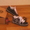 Продаю роликовые кроссовки heelys - Изображение #3, Объявление #137993