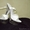 продажа танцевальной обуви - Изображение #6, Объявление #105769