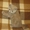  котята шотландские - Изображение #1, Объявление #292155