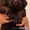 Продаются щенки лабрадора-ретривера коричневые - Изображение #4, Объявление #348061