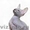 клубные котята петербургский сфинкс(петерболд) - Изображение #3, Объявление #375865