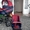  коляска Anmar Польша - Изображение #2, Объявление #387954