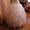 Продам шикароне свадебное платье ,недорого!!! - Изображение #2, Объявление #376943