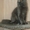 Шотландские вислоухие котята хайленд фолд - Изображение #4, Объявление #454708