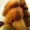 Шикарный мех огненной канадской лисы - Изображение #3, Объявление #446387