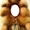Шикарный мех огненной канадской лисы - Изображение #5, Объявление #446387