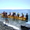 Отдых 2013 на черном море Сочи-Солоники без посредников - Изображение #2, Объявление #891176