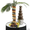 Шоколадная Мечта ( Шоколадный фонтан, Пирамида шампанского, Фруктовая пальма) - Изображение #2, Объявление #1063537