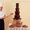 Шоколадная Мечта ( Шоколадный фонтан,  Пирамида шампанского,  Фруктовая пальма) #1063537
