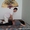 Тайский йога массаж. Глубокое расслабление и оздоровление - Изображение #2, Объявление #1079372