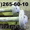 Продам новые опорные катки для крана МКГ-25 БР #1253774