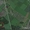 Земля в п. Ракитовка (Булгаково), 7.3 Га под дачное строительство - Изображение #3, Объявление #879145