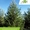 Посадка деревьев крупномеров с гарантией на приживаемость от ЛЦ Клен - Изображение #1, Объявление #1515265