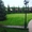 Рулонный газон от ландшафтного центра "Клен" - Изображение #1, Объявление #1515290