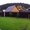 Рулонный газон от ландшафтного центра "Клен" - Изображение #3, Объявление #1515290