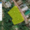 Земля в г. Уфа, ул. Грузинская, 8 соток в собственности под ИЖС - Изображение #2, Объявление #1678169