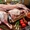 Поставка мяса птицы,  говядины,  баранины #1679167