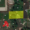 Земля в г. Уфа, п. Цветы Башкирии, 30 соток в собственности - Изображение #2, Объявление #1658112