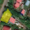 Земля в г. Уфа, ул. Пугачёва на "красной линии", 4 сотки в собственности - Изображение #3, Объявление #1689820