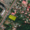 Земля в г. Уфа, ул. Комсомольская, на "красной линии", 18 соток в собственности - Изображение #2, Объявление #1691341