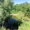 Земля в д. Камышлы, 19 соток в собственности на берегу реки - Изображение #2, Объявление #1726734