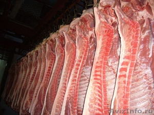 Свинина на кости и мясные деликатесы от производителя! - Изображение #2, Объявление #16210