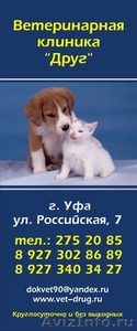 Ветеринарная клиника "Друг" - Изображение #1, Объявление #127530