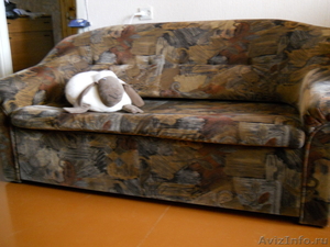 мебель мягкая диван и два кресла-кровать - Изображение #1, Объявление #199342