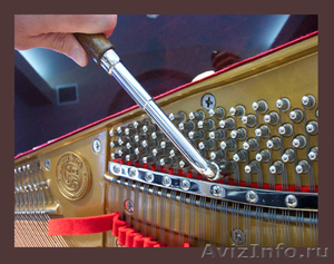 Настройка и ремонт музыкальных инструментов - Изображение #1, Объявление #222660