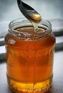 Цветочный мёд (донниковый) 1900 руб. - Изображение #1, Объявление #335819