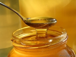 Нужен мёд оптом? Мёд из Башкирии. - Изображение #1, Объявление #414055