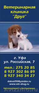 Ветеринарная клиника "Друг" Ип павлов С.А - Изображение #1, Объявление #438879