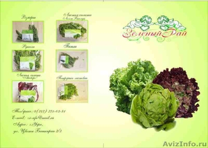 Очищенные овощи,фасованная свежая зелень,грибы - Изображение #1, Объявление #529908