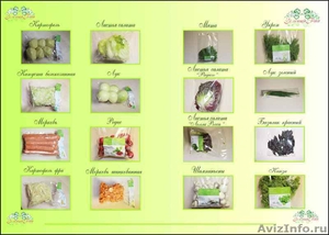 Очищенные овощи,фасованная свежая зелень,грибы - Изображение #2, Объявление #529908