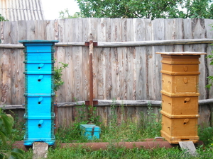 Продаются пчелы с ульями, с.Охлебинино - Изображение #1, Объявление #632624