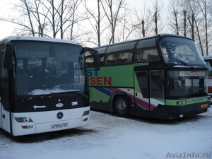 Перевозки автобусами, микроавтобусами - Изображение #6, Объявление #37629