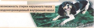Коврик для домашних животных компания Nikken  - Изображение #1, Объявление #987006