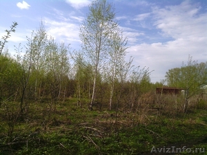 Продам землю в Карпово    - Изображение #1, Объявление #1272916