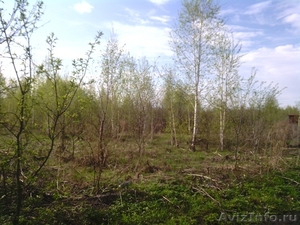 Продам землю в Карпово    - Изображение #2, Объявление #1272916
