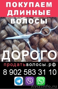 Покупаем волосы по высокой цене в Вашем городе - Изображение #1, Объявление #1490431