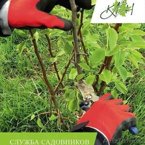 Служба садовников от ландшафтного центра "Клен" - Изображение #1, Объявление #1515297