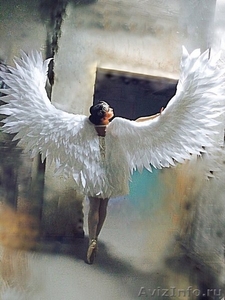 Крылья для фотосессии. Крылья ангела в аренду - Изображение #1, Объявление #1549699