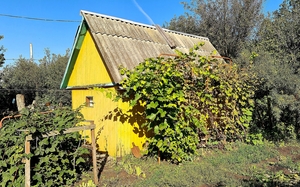 Дача рядом с Дёмой, СНТ "Василёк" с домом и баней - Изображение #3, Объявление #1691363