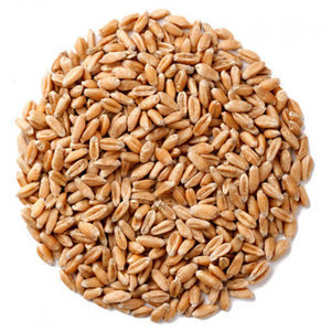 Реализуем Пшеницу - Изображение #1, Объявление #1721449